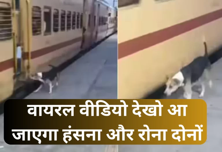 Dog Viral Video: रेलवे स्टेशन पर देख डॉगी का काम आ जाएगा आपकी आंखों में रोना देखिए वायरल वीडियो