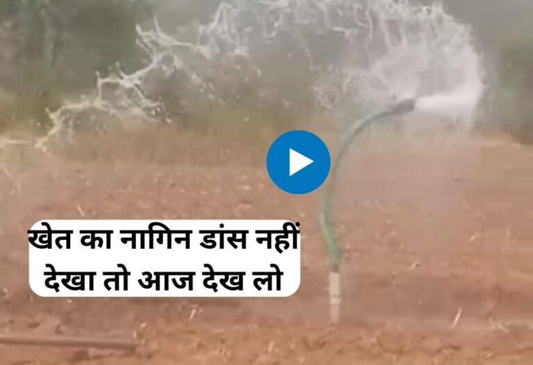 खेत में Nagin Viral Video देख कर कहोगे की नागमणि यही लेकर मानेगा अब....